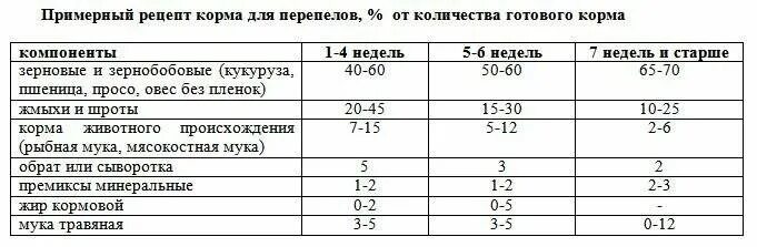 Температура содержания перепелов. Рецептура корма для перепелов. состав корма для перепелок. рецепт корма для перепелов суточных. схема кормления перепелов комбикормом.
