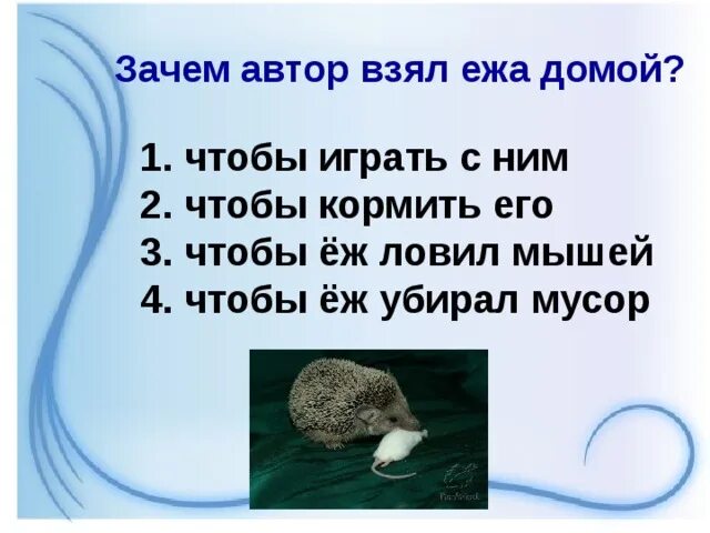 Пересказ рассказа пришвина еж. М М пришвин еж. Ежик пришвин. Презентация пришвин ёж. Произведение ёж пришвин.