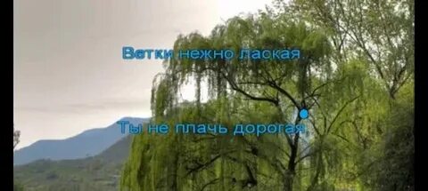 Горько плакала