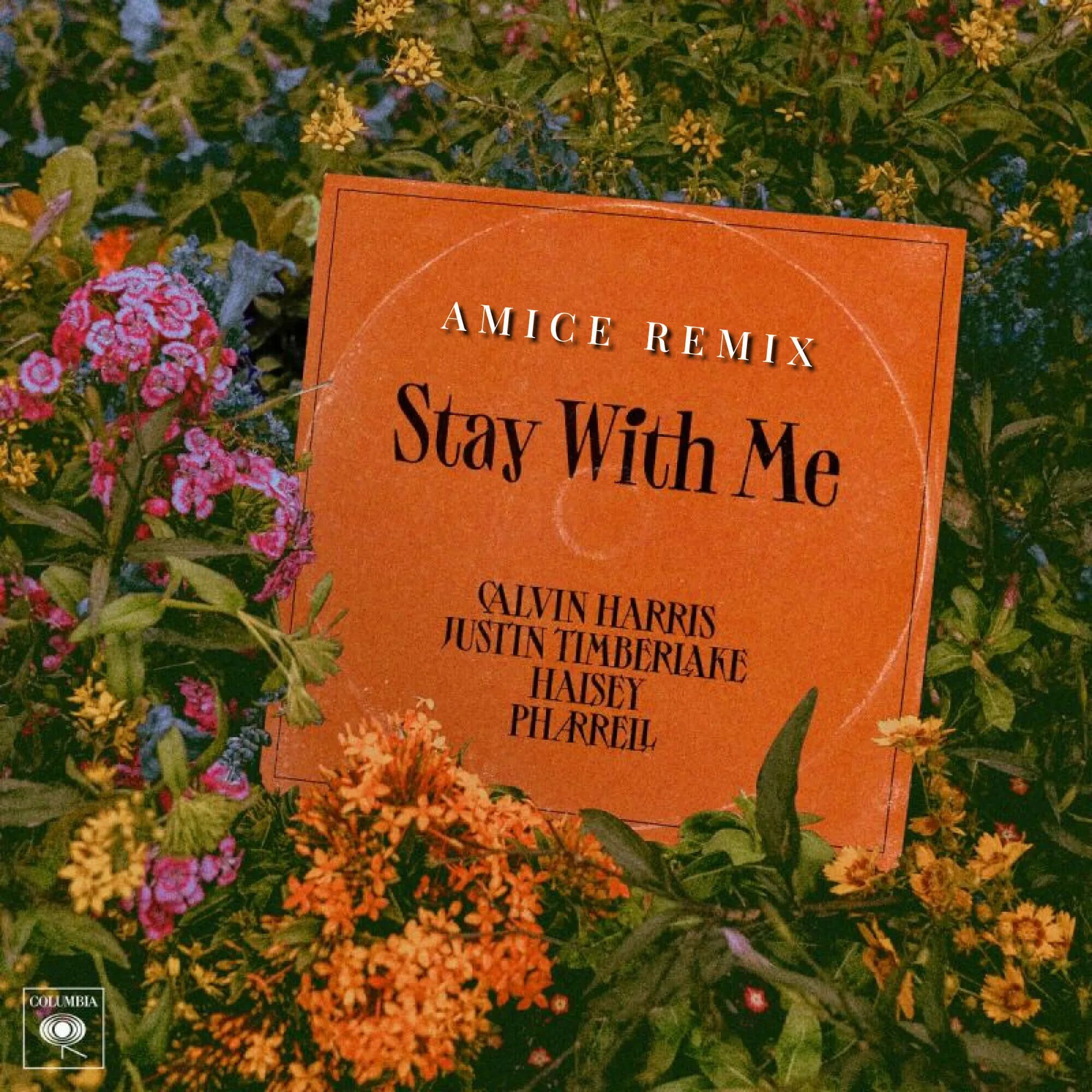 Stay with me say with me. Calvin Harris, Halsey, Justin Timberlake, Pharrell - stay with me. Calvin Harris stay with me. Calvin Harris Halsey stay with me. Calvin Harris - stay with me (Lyrics) ft. Justin Timberlake, Halsey, Pharrell.