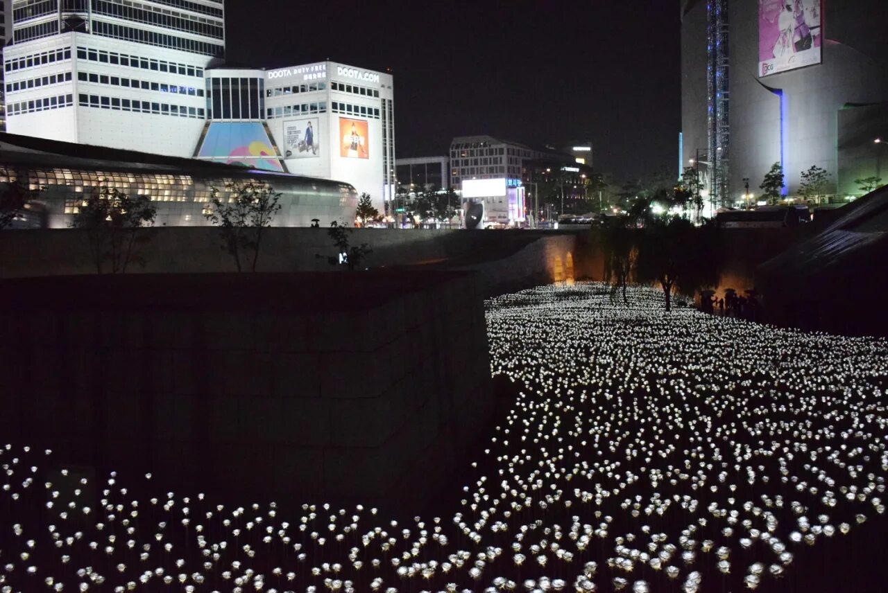 Какое число в сеуле. Dongdaemun design plaza цветы сеул. тондэмун светящиеся цветы в сеуле. ддп сад белых роз сеул. сад светящихся роз (ddp white rose garden).