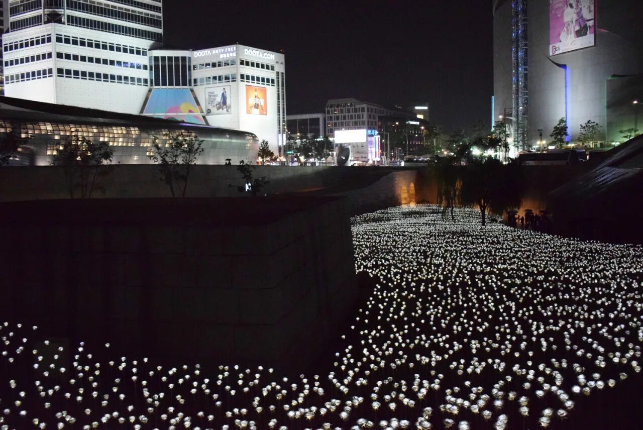 Неспящие в сеуле билеты. Dongdaemun Design Plaza Сеул. Dongdaemun Design Plaza цветы Сеул. ДДП сад белых роз Сеул. Сад светящихся роз в Сеуле.