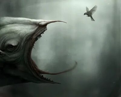 Scary fly
