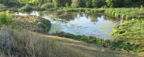 Подбельск самарская область
