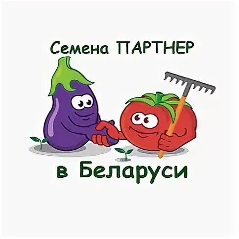 Семена партнер бай в беларуси