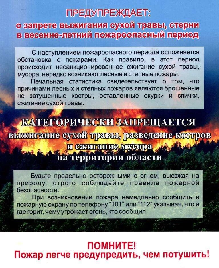 Памятки пожарной безопасности в весенне-летний период. Памятка о мерах пожарной безопасности в пожароопасный период. Памятки по пожарной безопасности в летний пожароопасный период. Памятка о запрете выжигания сухой травы. Пожарная безопасность в весенне летний пожароопасный период