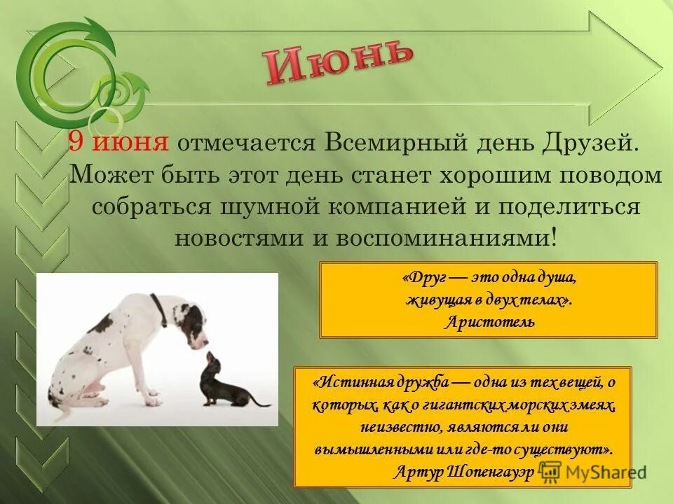 Информация о дне друзей. День друзей презентация. 9 июня день чего. 09 июня какой праздник. международны1 день друзей.
