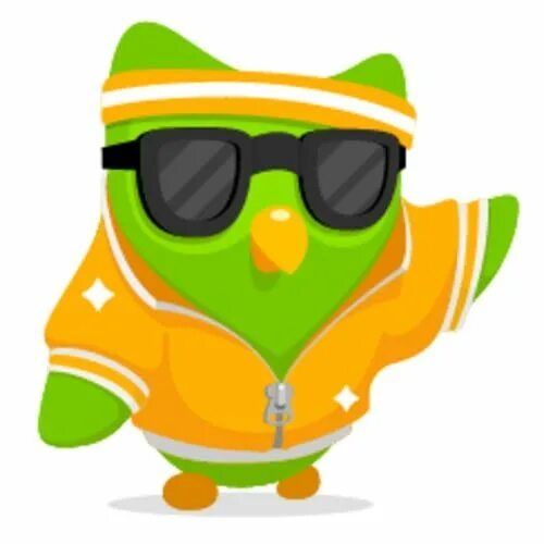Аватары duolingo. Дуолинго дуо. duolingo сова. duolingo аватарка. duolingo в очках.