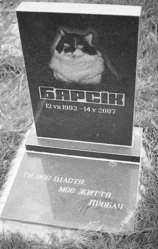 Где хоронят животных. Кладбище домашних животных могила и кот. памятники на кладбище животных. могилки кошек. памятник кошке.