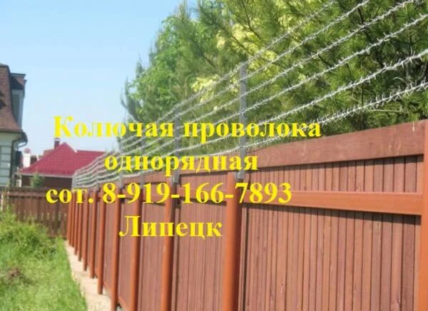 Devious315 альбом Prison Is A State Of Mind слушать онлайн бесплатно на Яндекс М