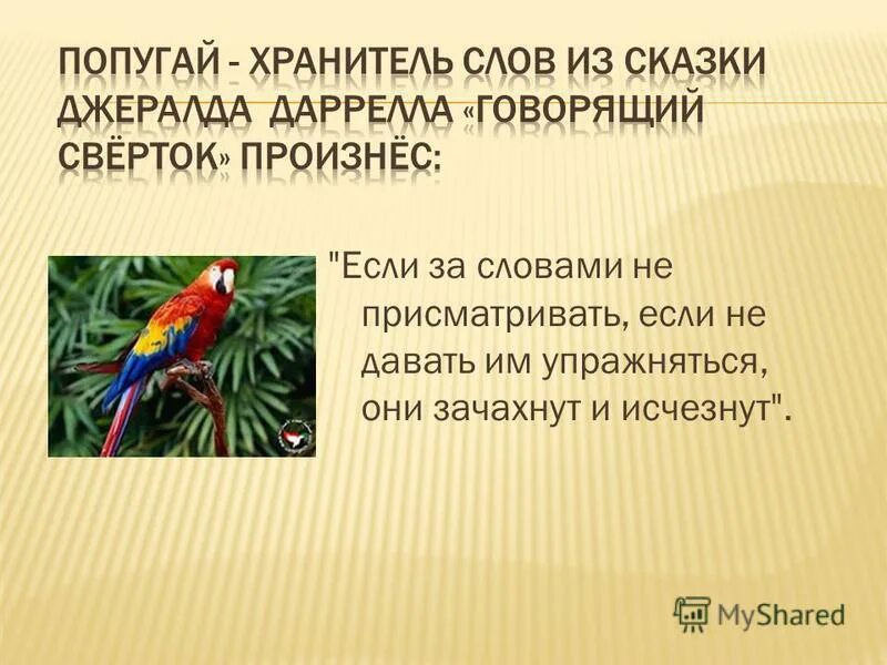 хранитель облаков геншин адепт. слово урок. хранитель что означает. хранитель библиотеки. включи хранитель слов.