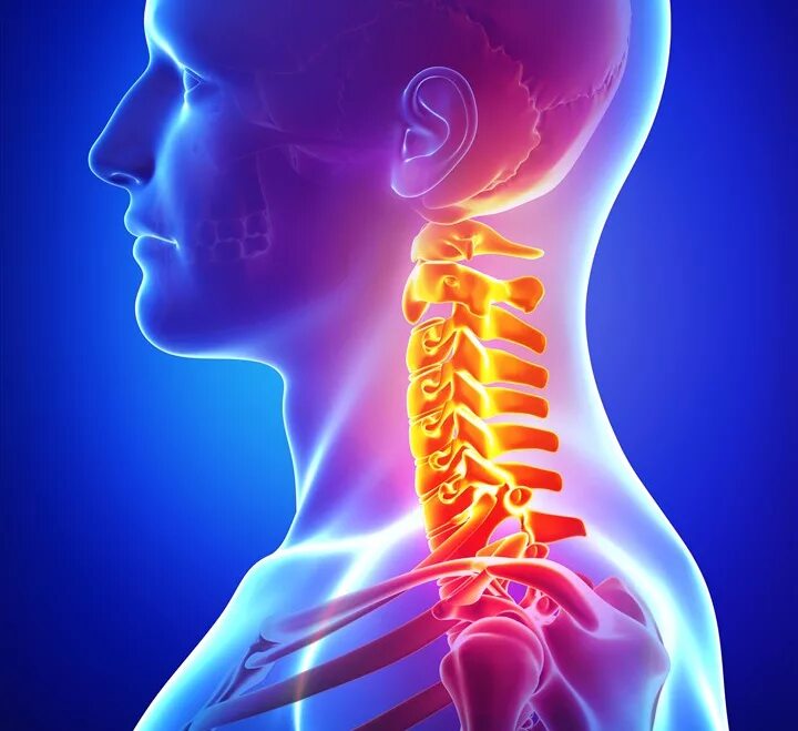 Шейный отдел. Шейный отдел позвоночника. Шейный остеохондроз.
