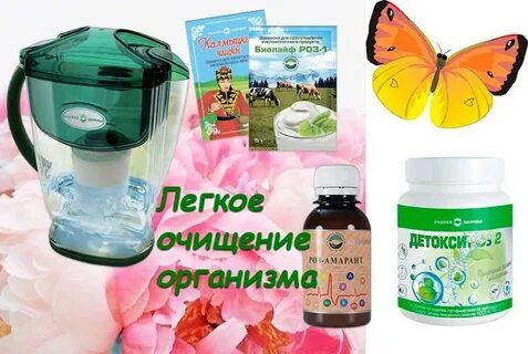 Здоровье роз