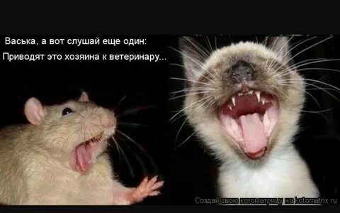 Хочу быть мышкой