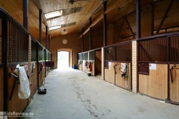 Конюшня solana stables. Конюшня наро-фоминск. Конный клуб дерби санкт-петербург. Конюшня лыткарино. Кск пегас колотилово конюшня.