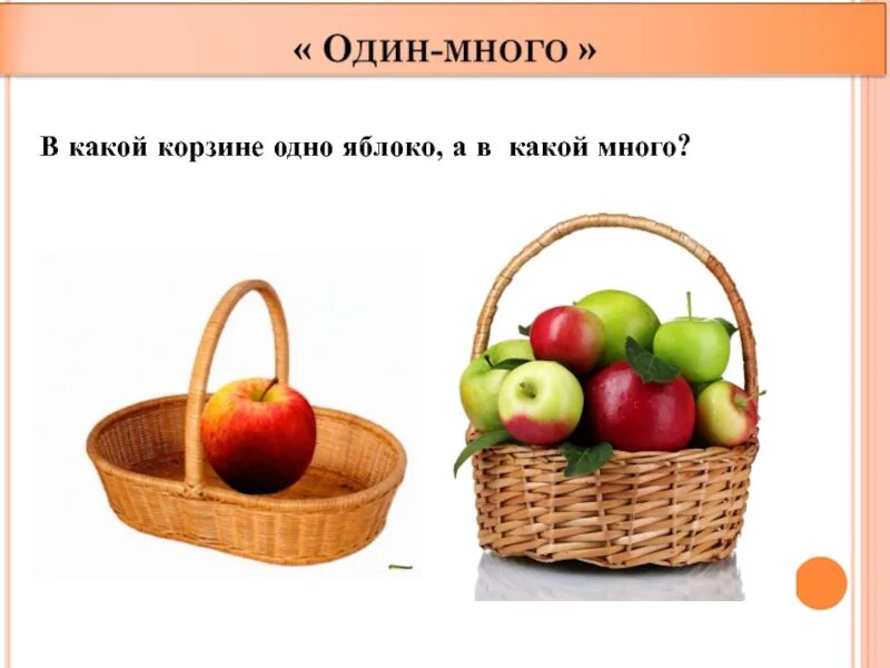 Понятие ни. Один много презентация. Один много яблоко. Понятие один много. Понятие много мало.