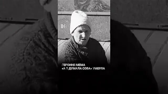 Я думала сова