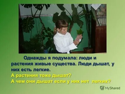 Они дышат