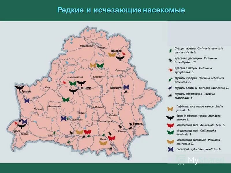 Условные обозначения плана эвакуации. План рб. План эвакуации пример. План эвакуации пример. План эвакуации людей при пожаре.