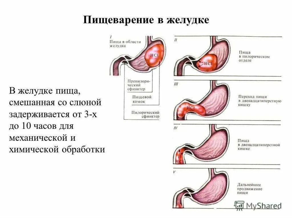 Что стоит после е