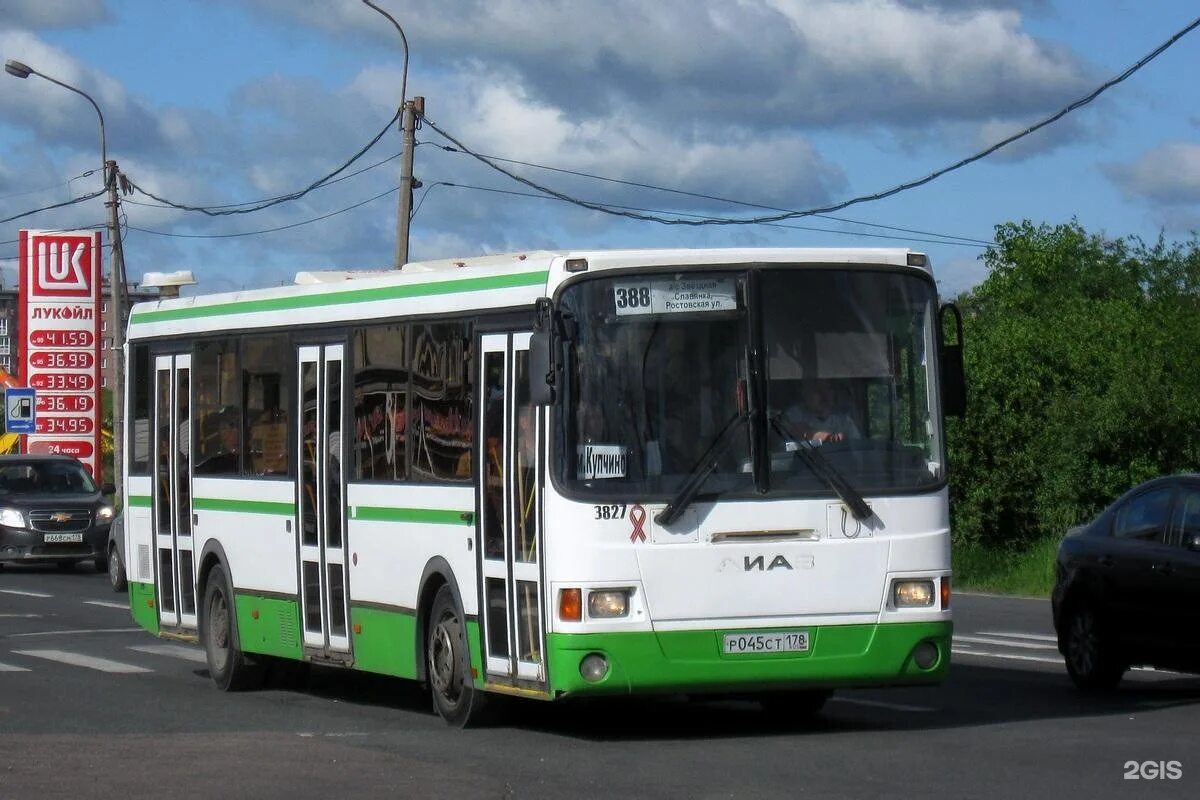 Автобус 388. Лиаз-5293 санкт-петербург. лиаз 5293 питер. 388 автобус славянка. 388 автобус купчино славянка.