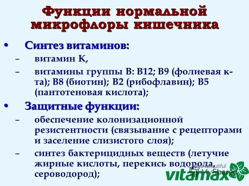 Какой витамин синтезируется микрофлорой. Витамины синтезируемые микрофлорой кишечника. Микрофлорой кишечника синтезируется. Толстый кишечник Синтез витаминов. Микрофлорой кишечника синтезируется витамин.