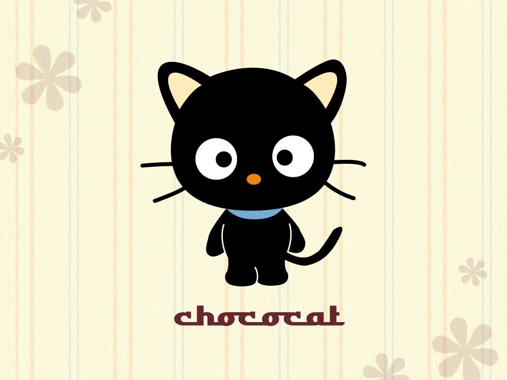 Hello i cat. Санрио чококэт. китти chococat. chococat хеллоу китти. картинка chococat.