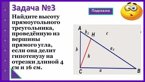 Сколько высот можно провести
