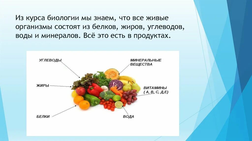 Обмен жиров белков углеводов воды. Организмы состоят из белков жиров. Организм состоит из белкс жиров и угли. Организм человека состоит из белков жиров и углеводов. Из чего состоят белки жиры и углеводы.