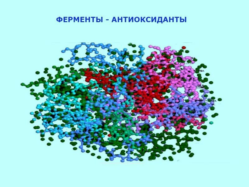 Ферменты антиоксиданты. Как работают антиоксиданты. Действие антиоксидантных ферментов. Механизмы антиоксидантной защиты. Как работают антиоксиданты.