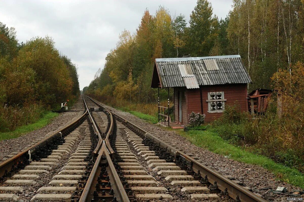 Ж.Д. Полустанок. Стрелочный пост на железной дороге. ЖД Полустанок. ЖД Полустанок СССР. Решения по железным дорогам