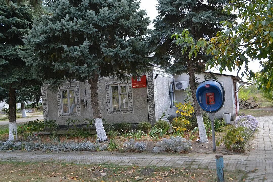 Сочи Раздольное Куни