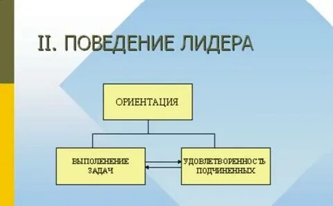 Поведение лидера