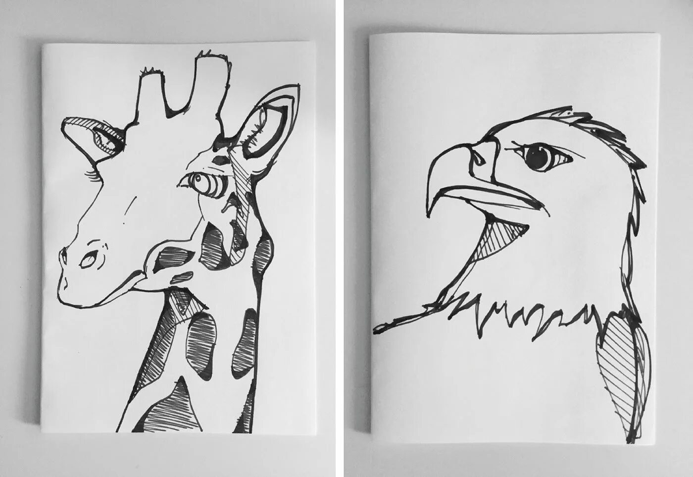 Срисовка легко черной ручкой. Рисунки для скетчбука лёгкие. Рисунки для скетчбука несложные. Рисунки в скетчбуке легкие. Рисунки для срисовки животные.