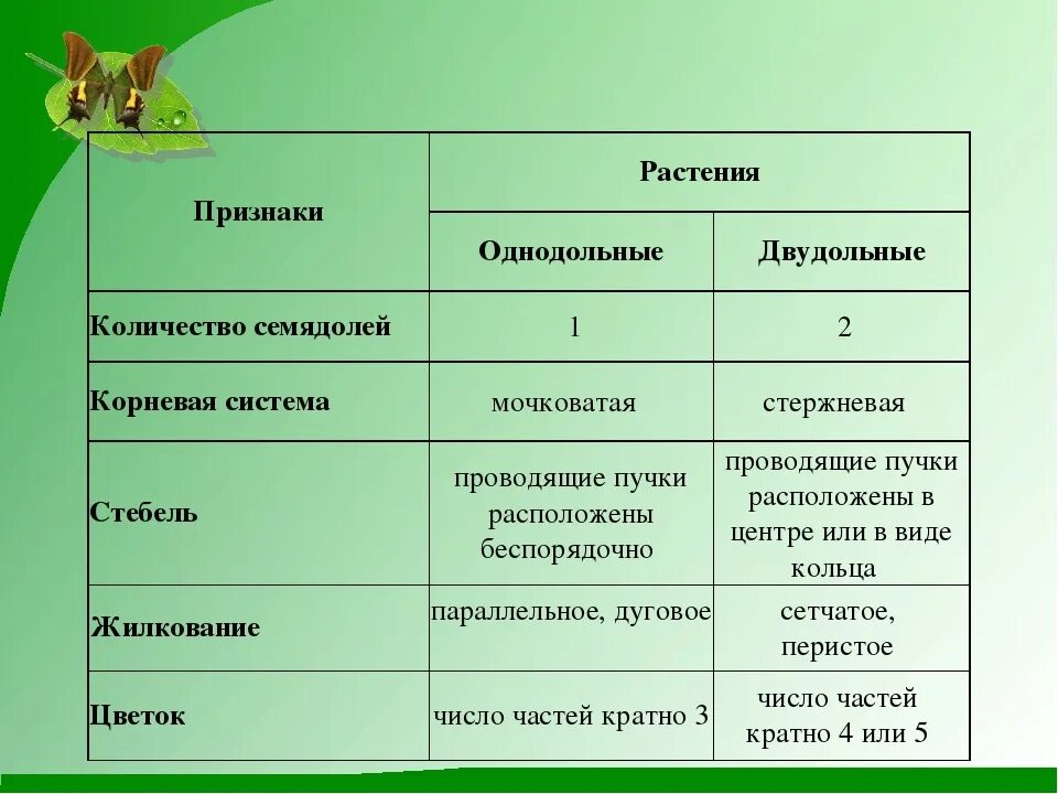 Признаки однодольных и двудольных растений таблица. Признаки классов однодольных и двудольных растений. Признаки двудольных растений таблица. Основные признаки двудольных и однодольных растений 7 класс.