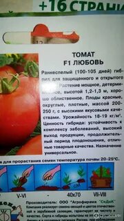 Помидоры любовь описание отзывы