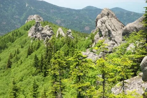 Гора сестра лазовский