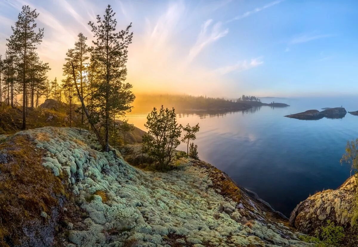 Природа республики карелия. Карелия лес Ладога. Карельский перешеек Ладога. Ладожские шхеры. Ладожские шхеры лес.