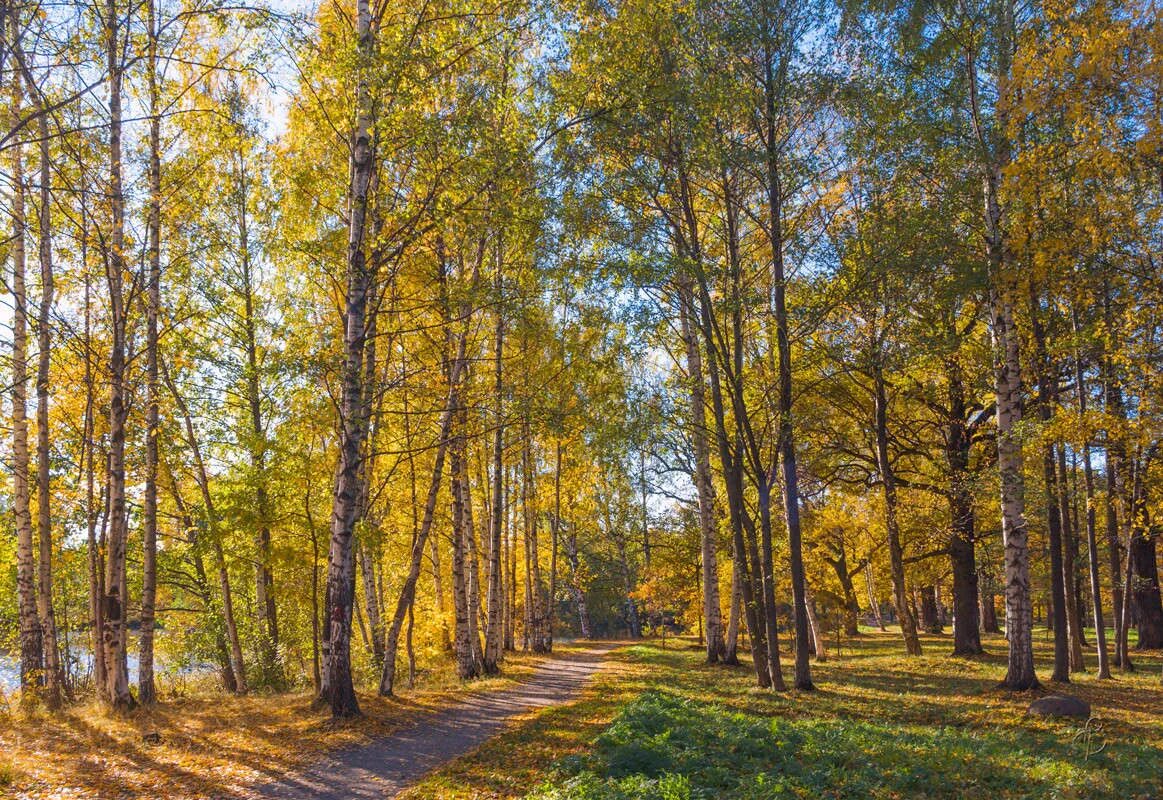 осенний 4 кемерово. картинка осень 4х6. природа города липецка. осенняя 4 липецк. липецке.