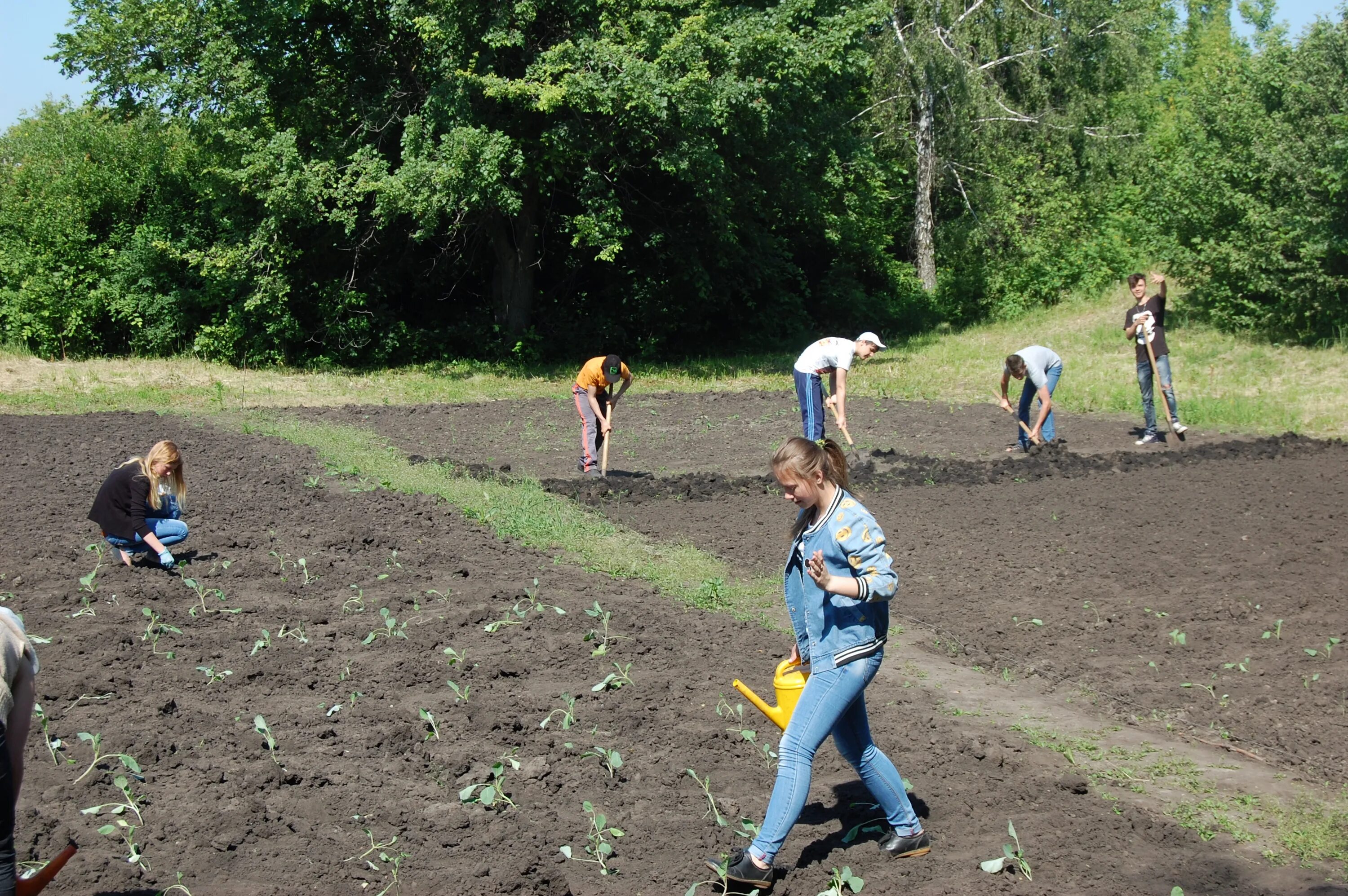 погода кузьминские отвержки липецкий