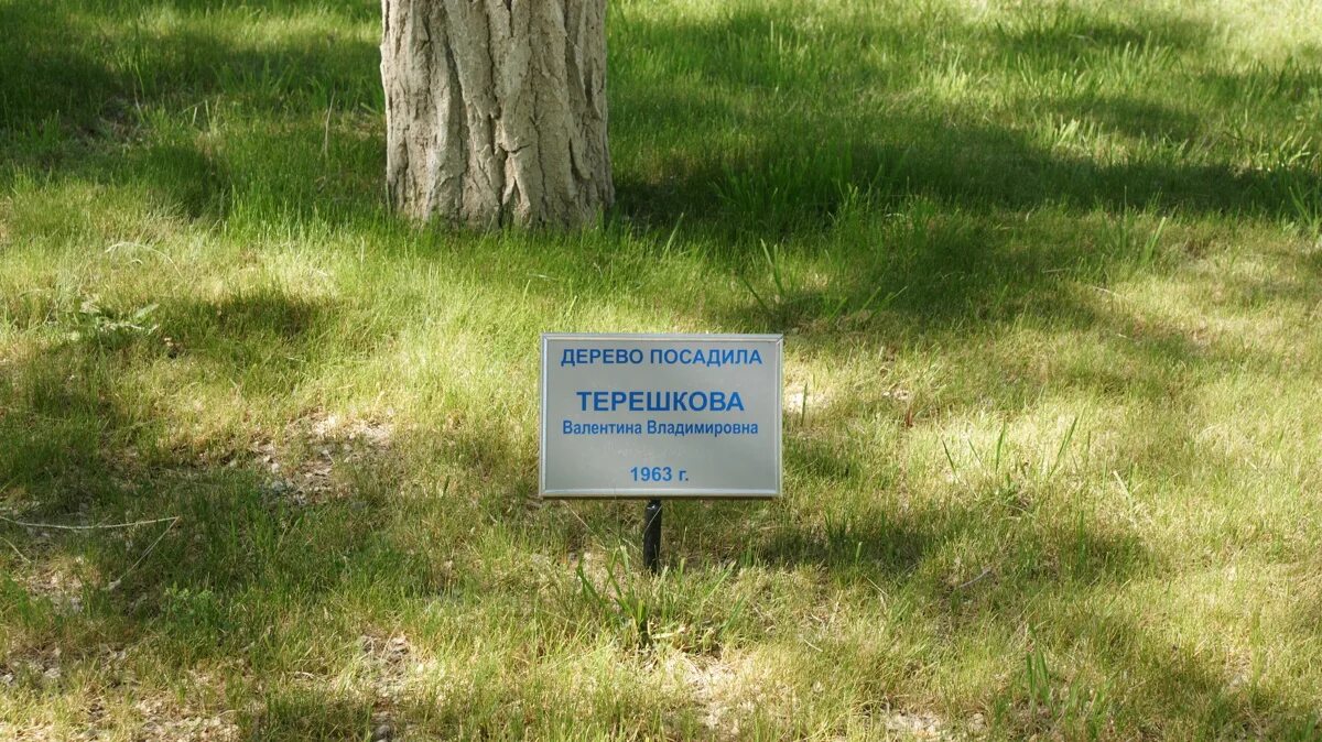 Место приземления Терешковой. Дерево которое посадил Гагарин. Приземление Терешковой.