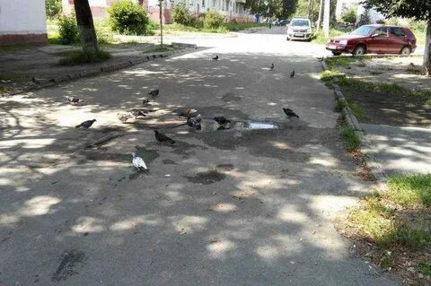 Нахождение на улице