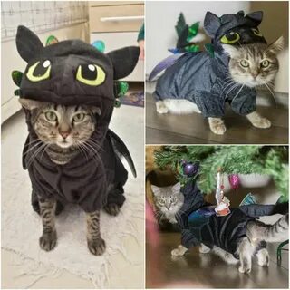 Костюм дракона для кота