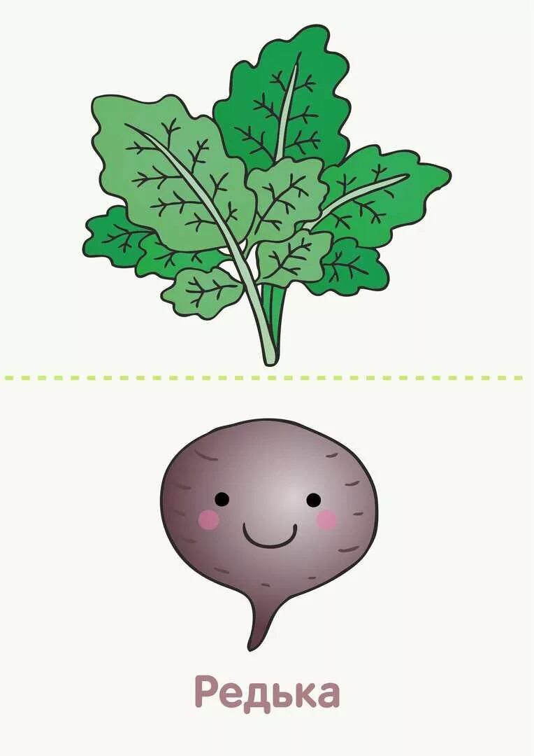 Дидактическая игра вершки и корешки. Игра вершки и корешки в картинках. Вершки и корешки игра для дошкольников. Игра вершки и корешки. Вершки и корешки игра для дошкольников.