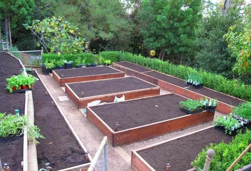 Грядки из досок. Красивые грядки. Траншейные грядки. Красивые грядки. Мидлайнер грядки.