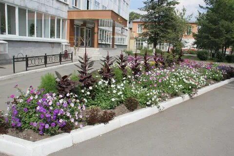 Цветы алапаевск