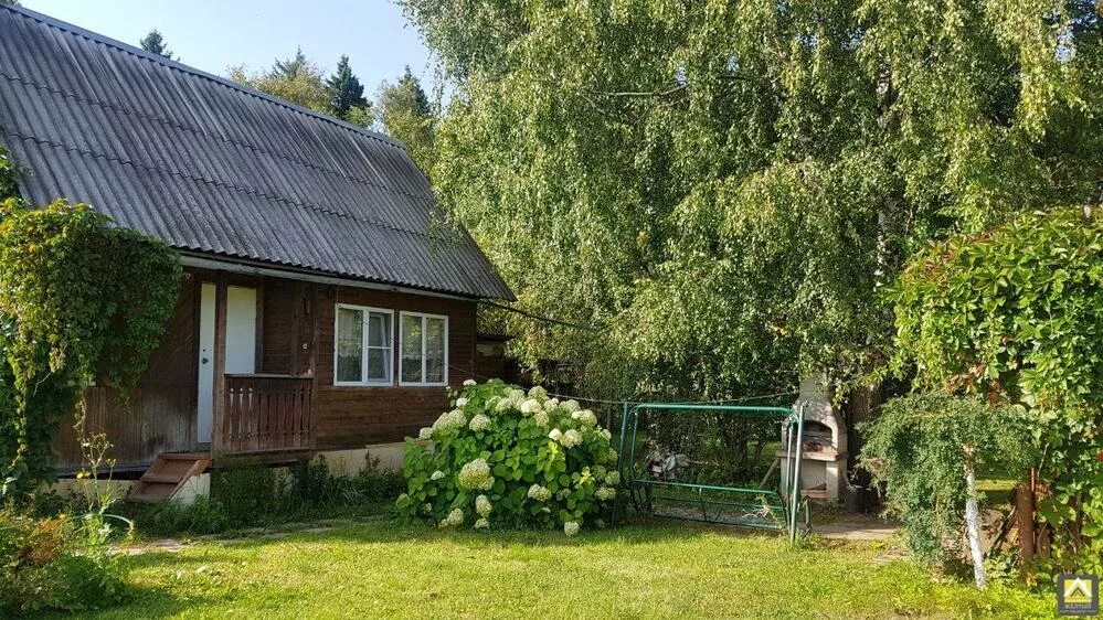 Дачу в подмосковье продавайте. Дачный домик по ярославке. Подмосковные дачи. Снт матвейково. Дача в подмосковье.