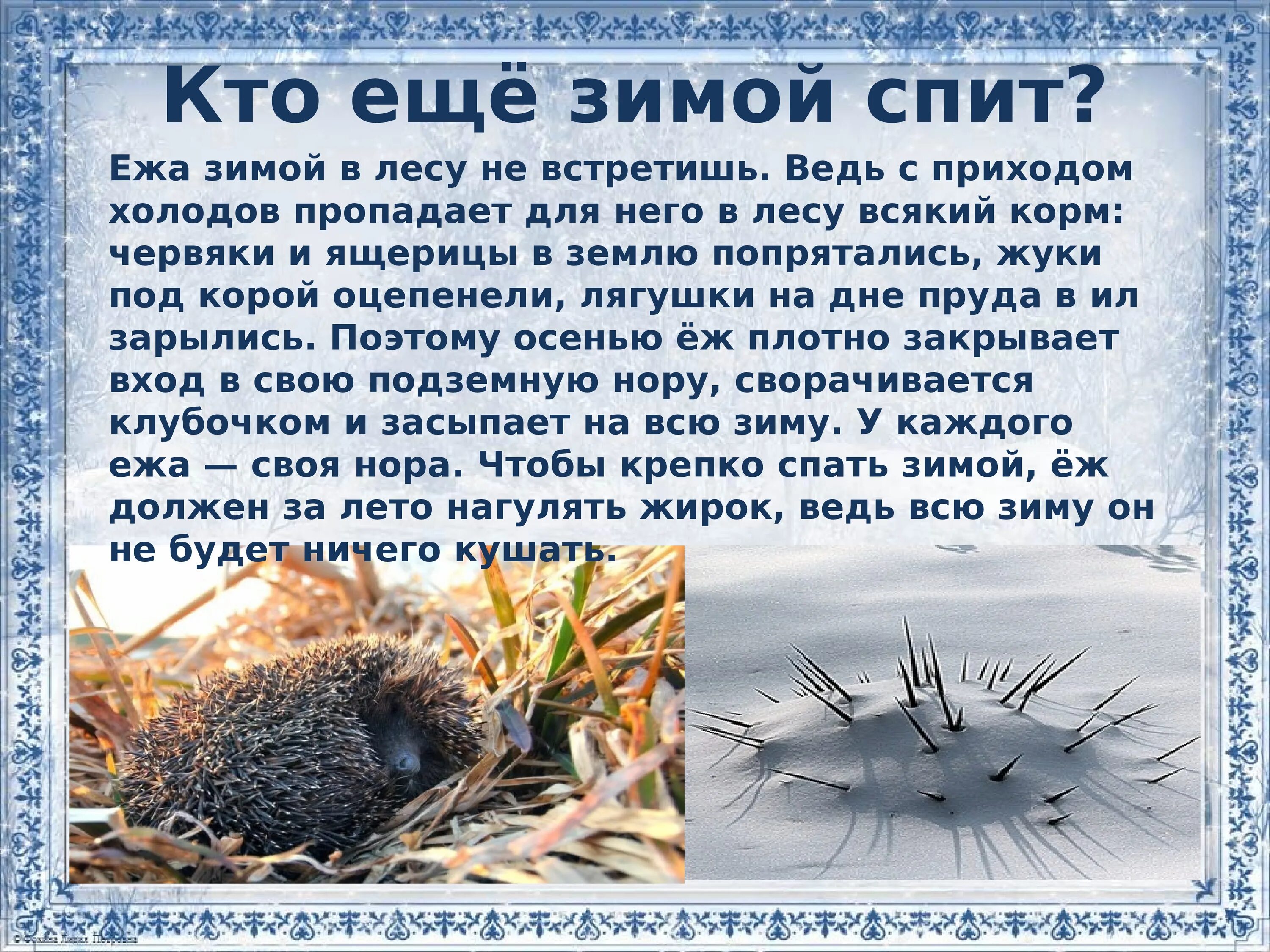 Как еж готовится к зиме 2 класс