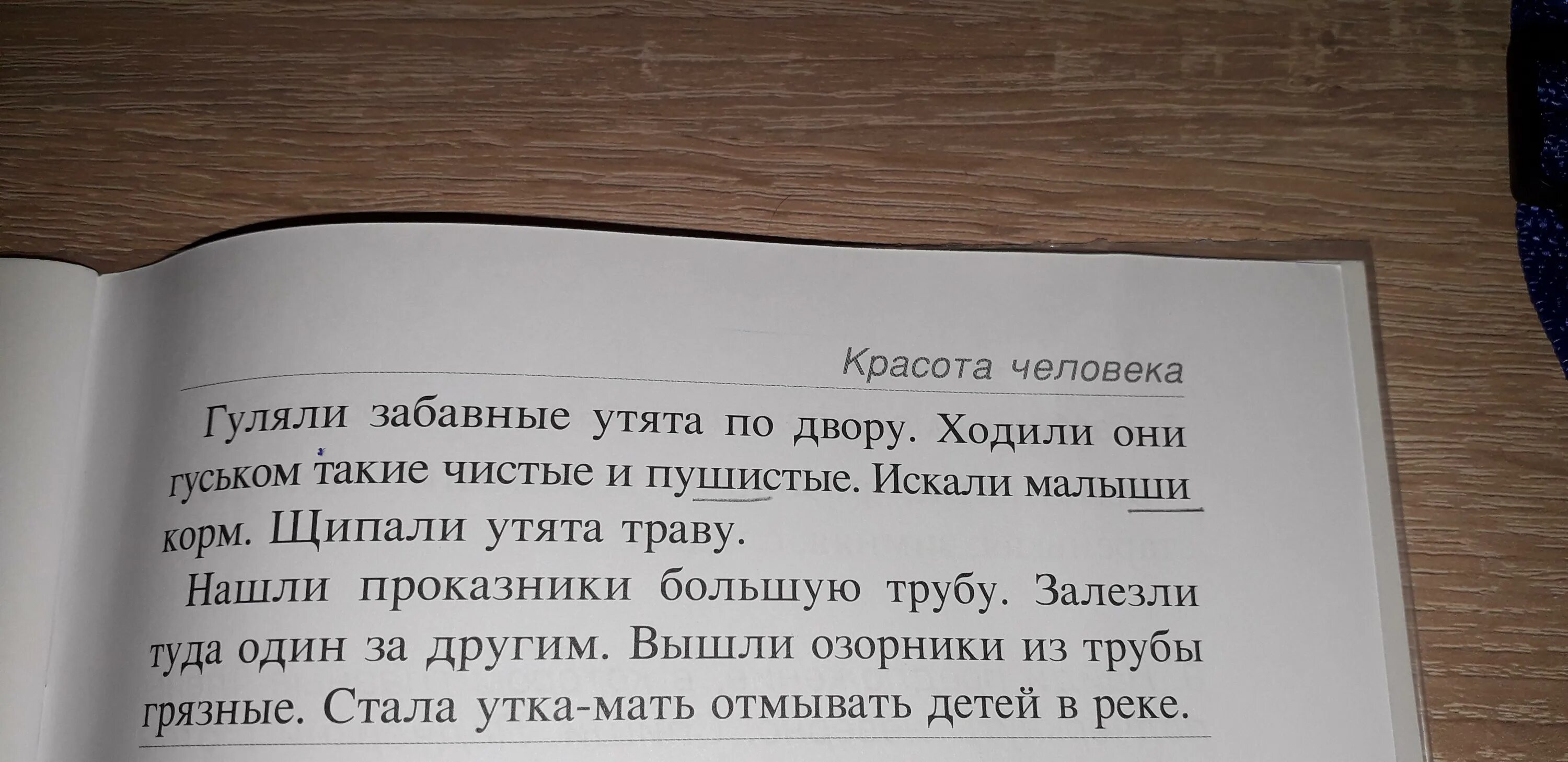 Прочитайте текст. Как бы вы его озаглавили?. Прочитайте стихотворение как бы вы его озаглавили