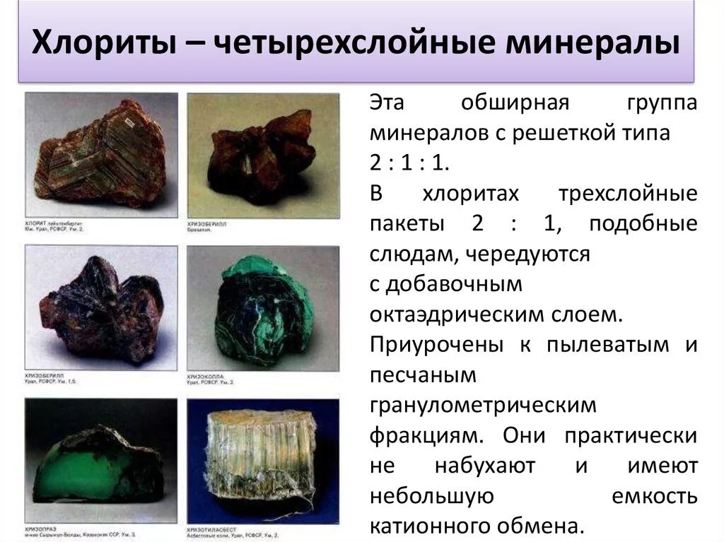 Минералов которые вошли в состав